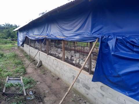 Vie Rurale Authentique